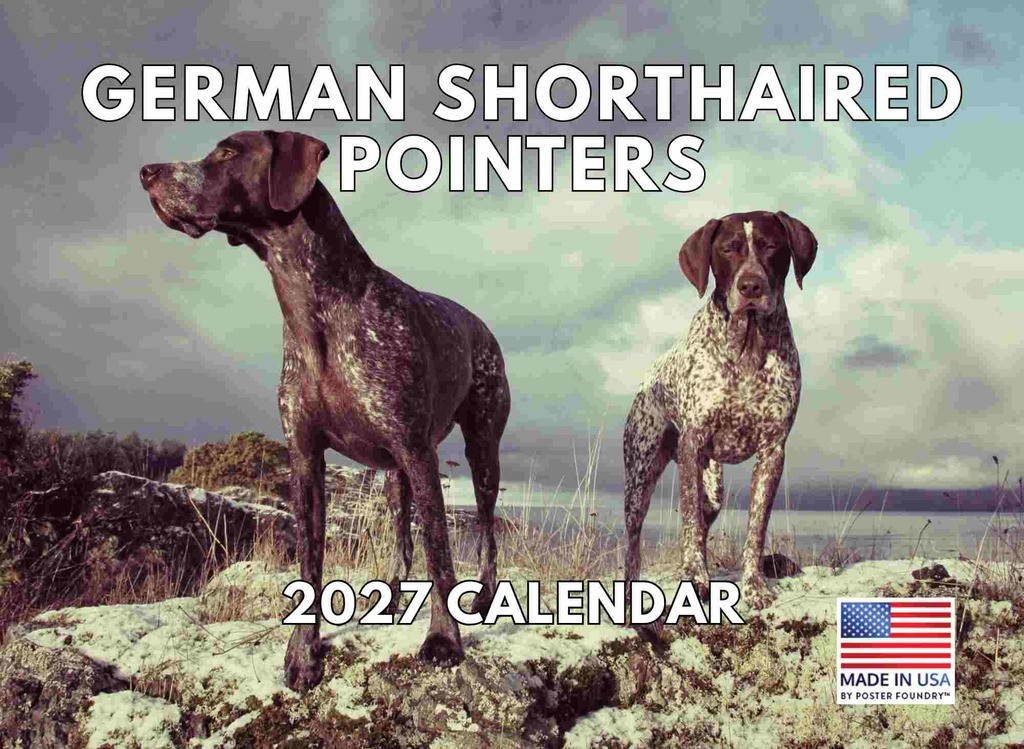 German Shorthaired Pointer Calendar 2027 GSP Monthly Wall Calender 12 Month
