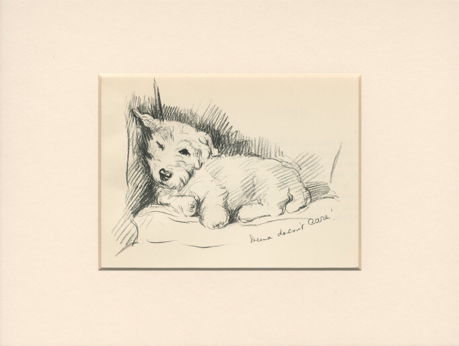 JACK RUSSELL TERRIER SLEEPS ON SEAT  1937 MOUNTED DOG ART PRINT by LUCY DAWSON