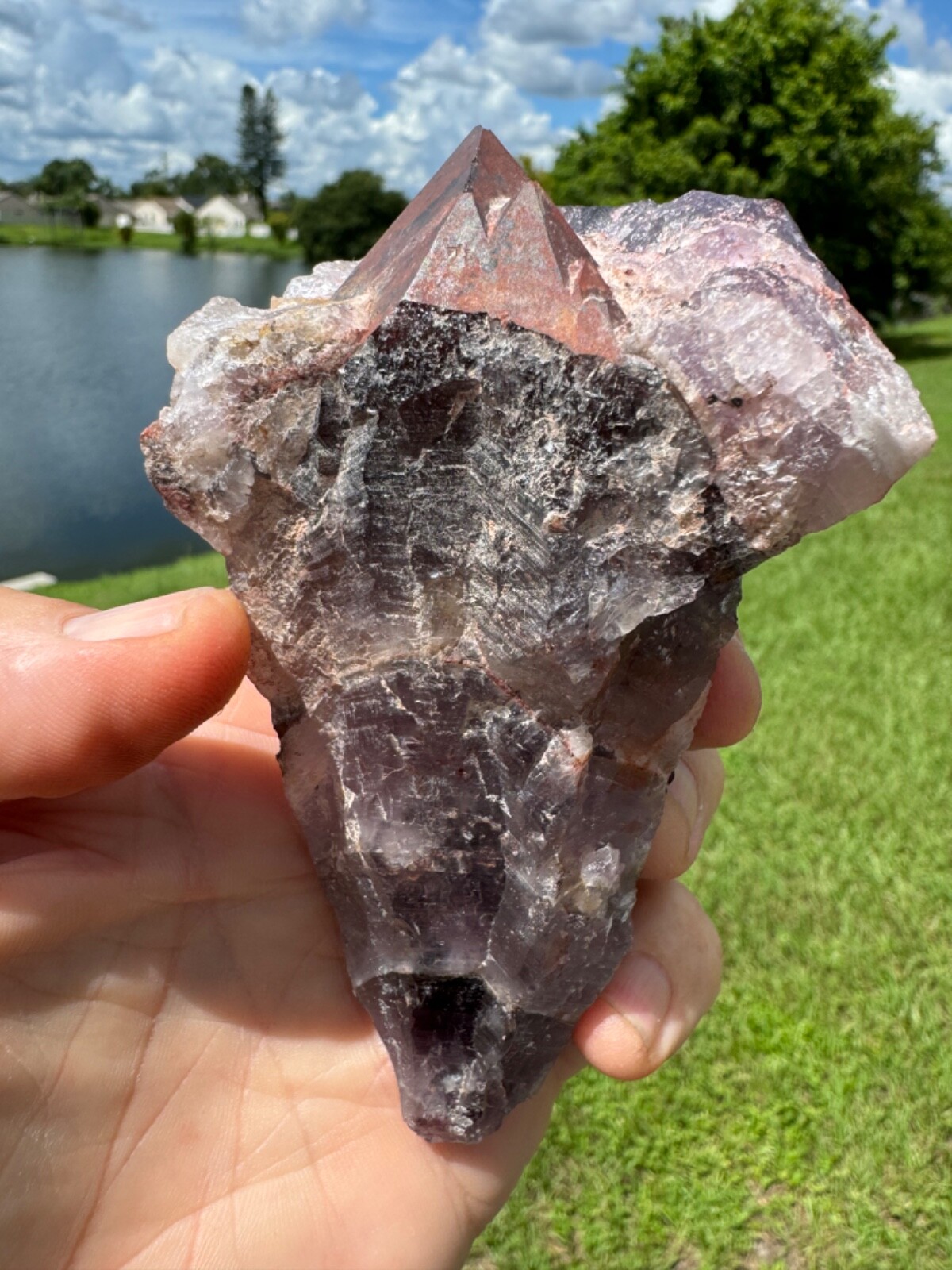 Amazing Auralite 23 Crystal Multi Head Red Cap from Canada 343 grams 5\