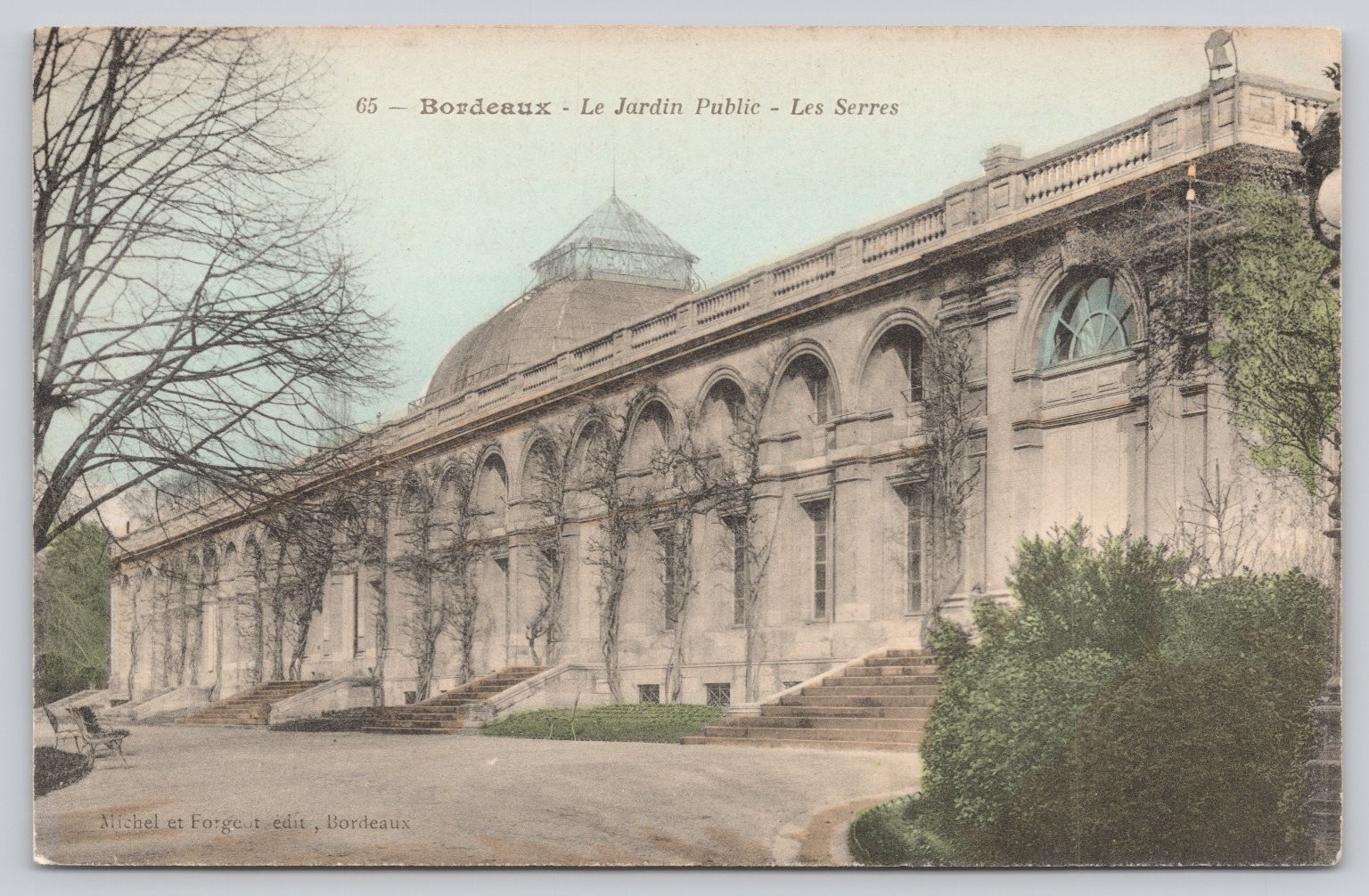 Vintage Bordeaux Jardin Public Les Serres Divided Back Postcard