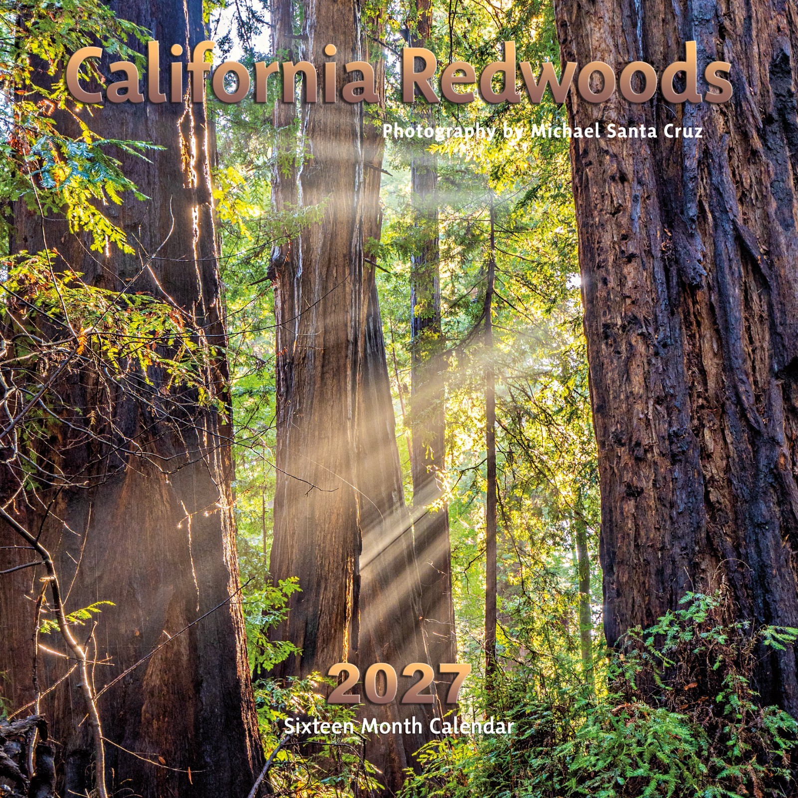 2027 Wall calendar with photography of California Redwoods 12x12 inches 2027 Wall calendar with photography of California Redwoods 12x12 inches