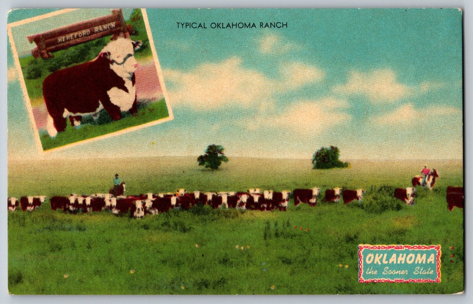 Oklahoma - Typical Oklahoma Ranch, Natural Live Stock Country - Vintage Postcard