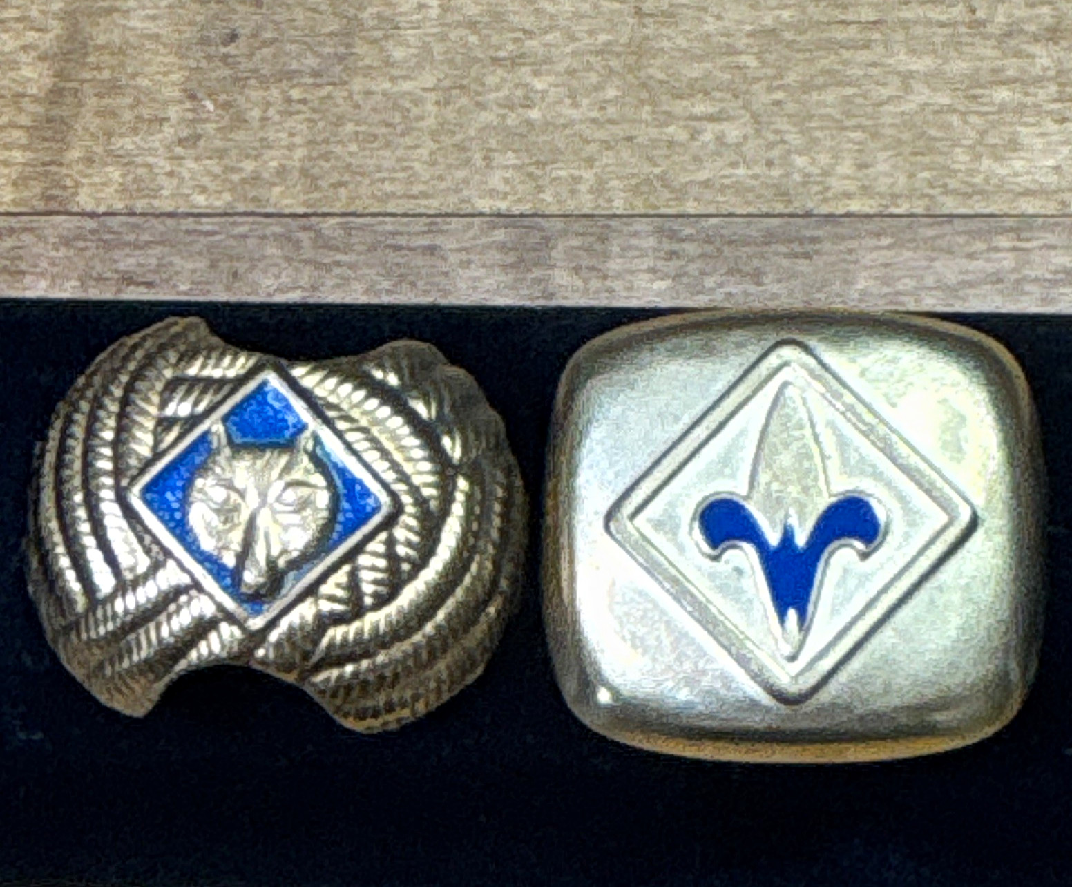 Vintage 1960s Cub Scout Wolf Webelos Neckerchief Slides Brass Enamel Lot of 2