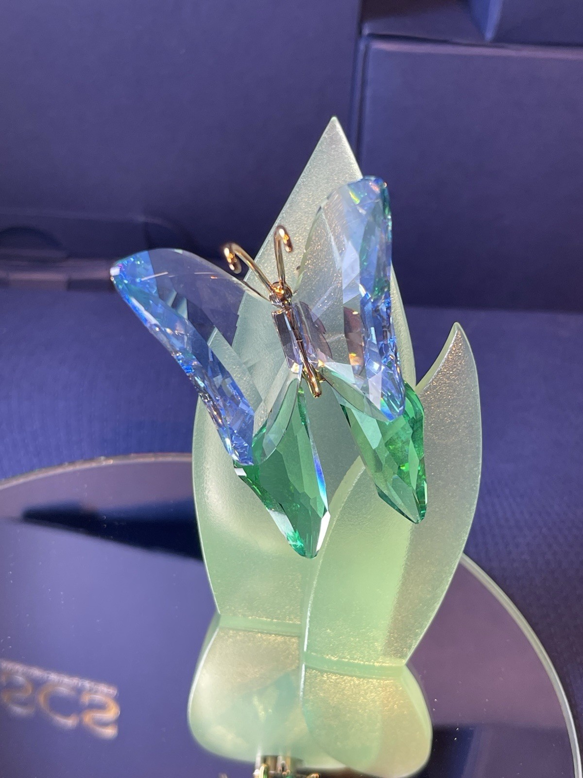 swarovski Acadia Butterfly paradise,blue&mint with display leaf,box&certif