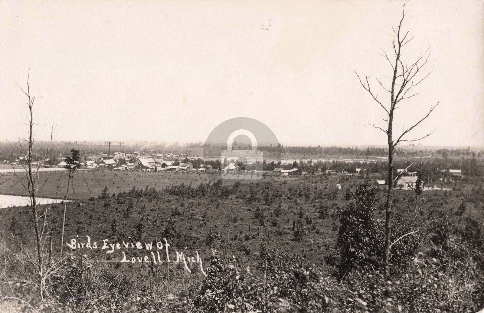 Bird\'s-Eye View of Lovell MI Michigan 1911 RPPC Photo Postcard COPY