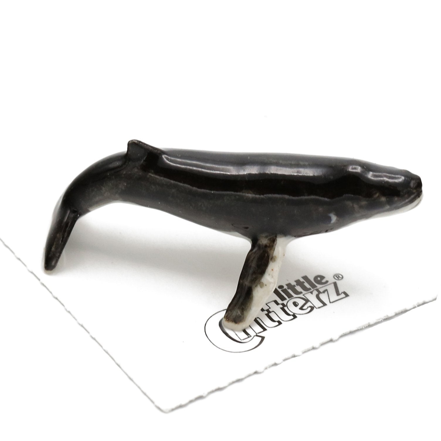 Little Critterz Whale - Humpback Whale \