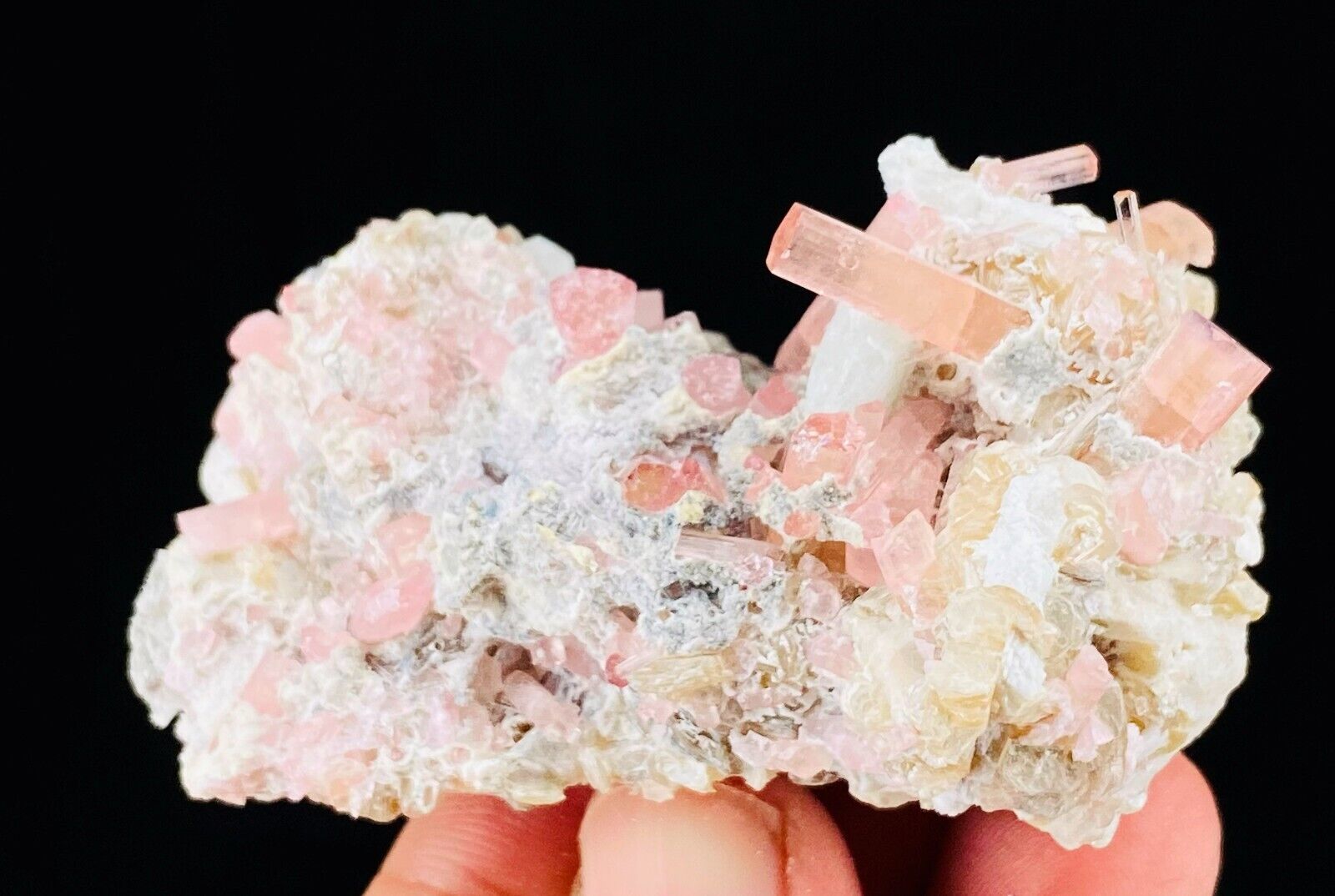 Hot Pink TOURMALINE Crystal Cluster On LEPIDOLITE and ALBITE Crystals Matrix