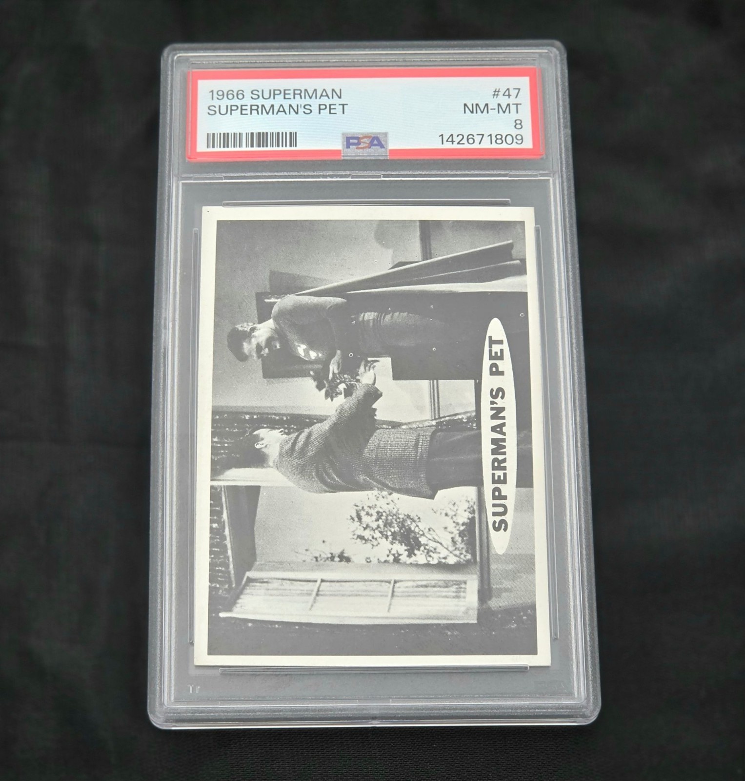 1966 Superman #47 Superman's Pet PSA 8 NM-MT