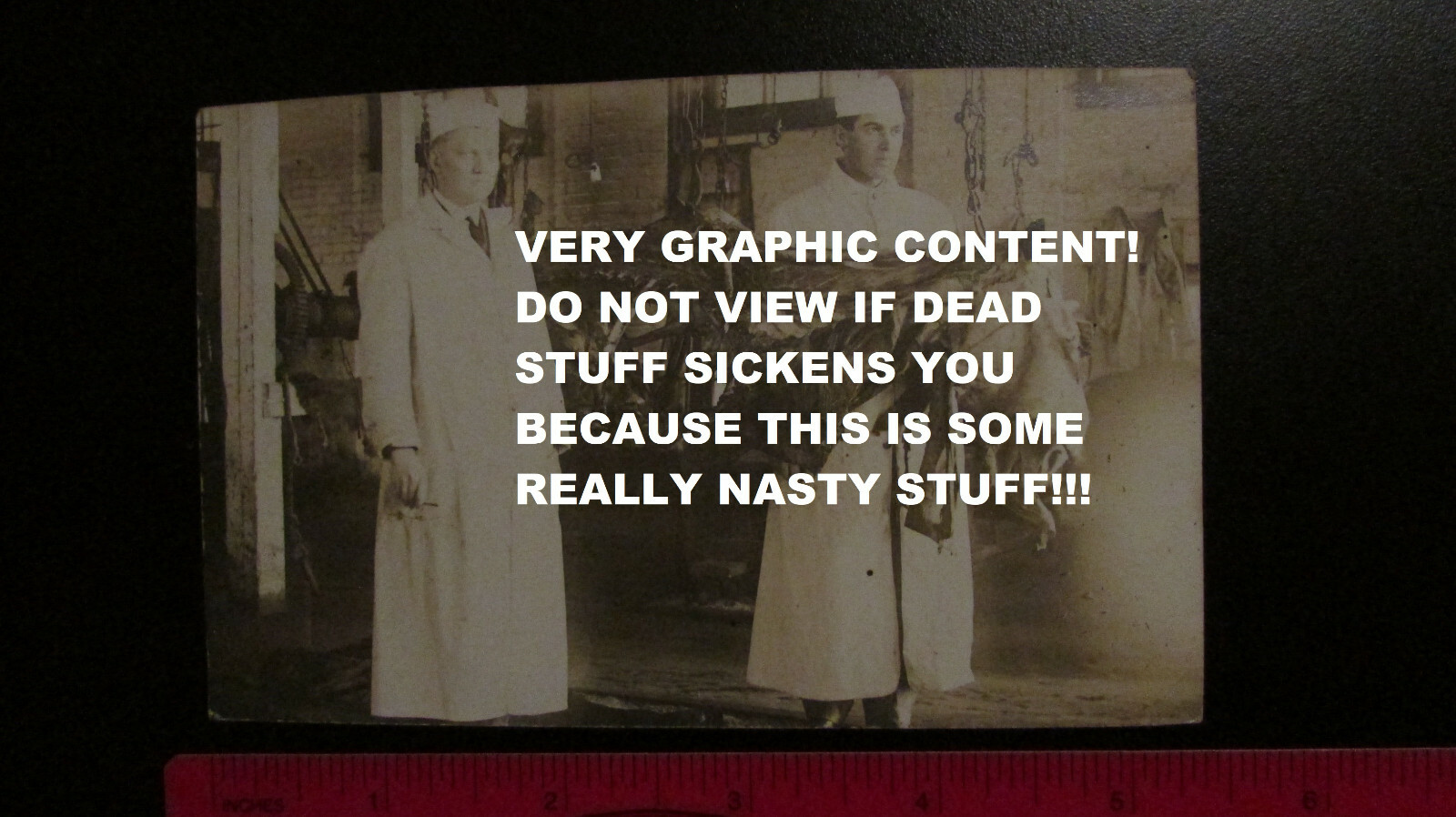 C.1905-10 RPPC Horse meat Butchers - creepy and gruesome, repulsive post card