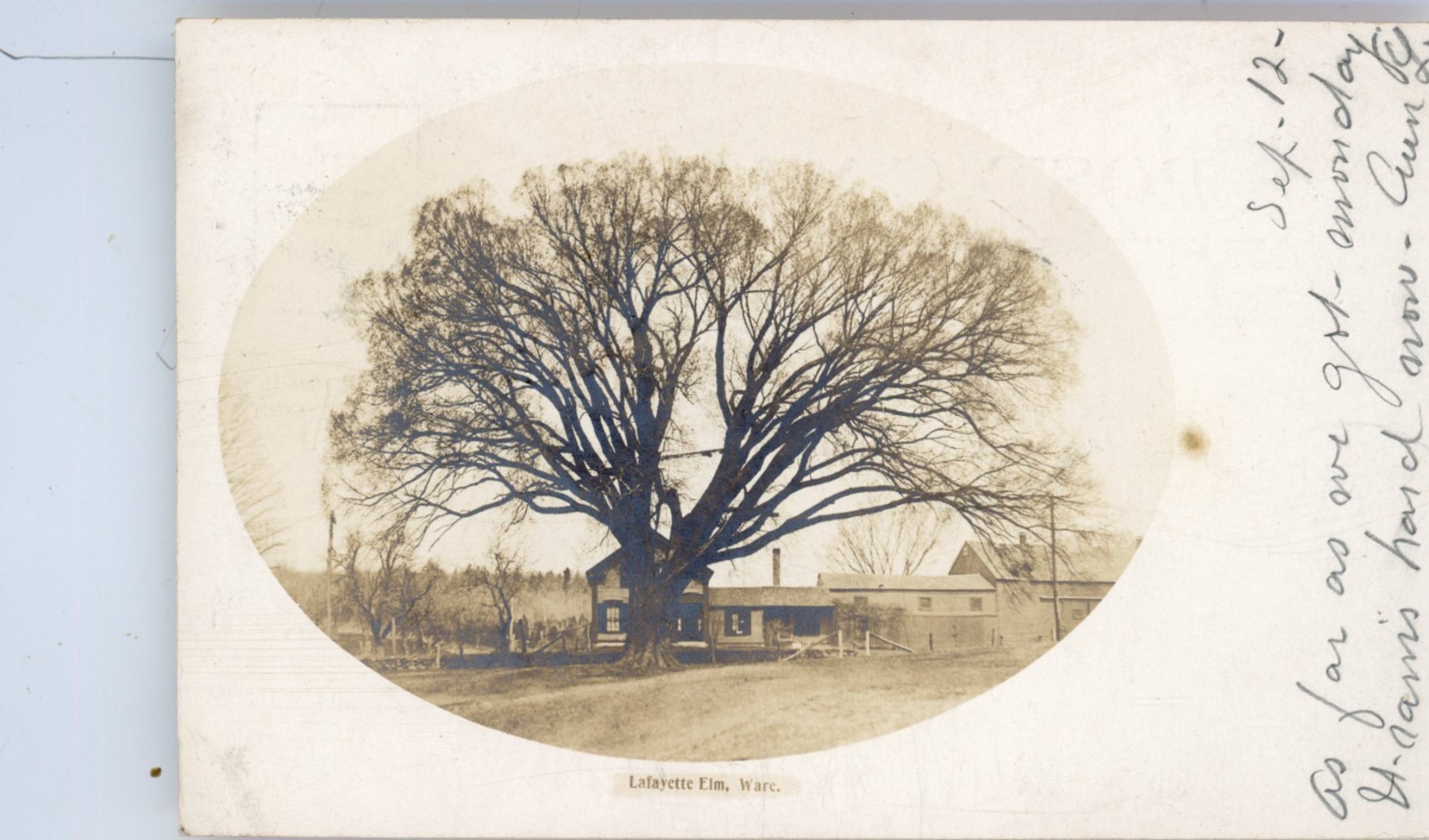 1905  Ware MA   photo postcard
