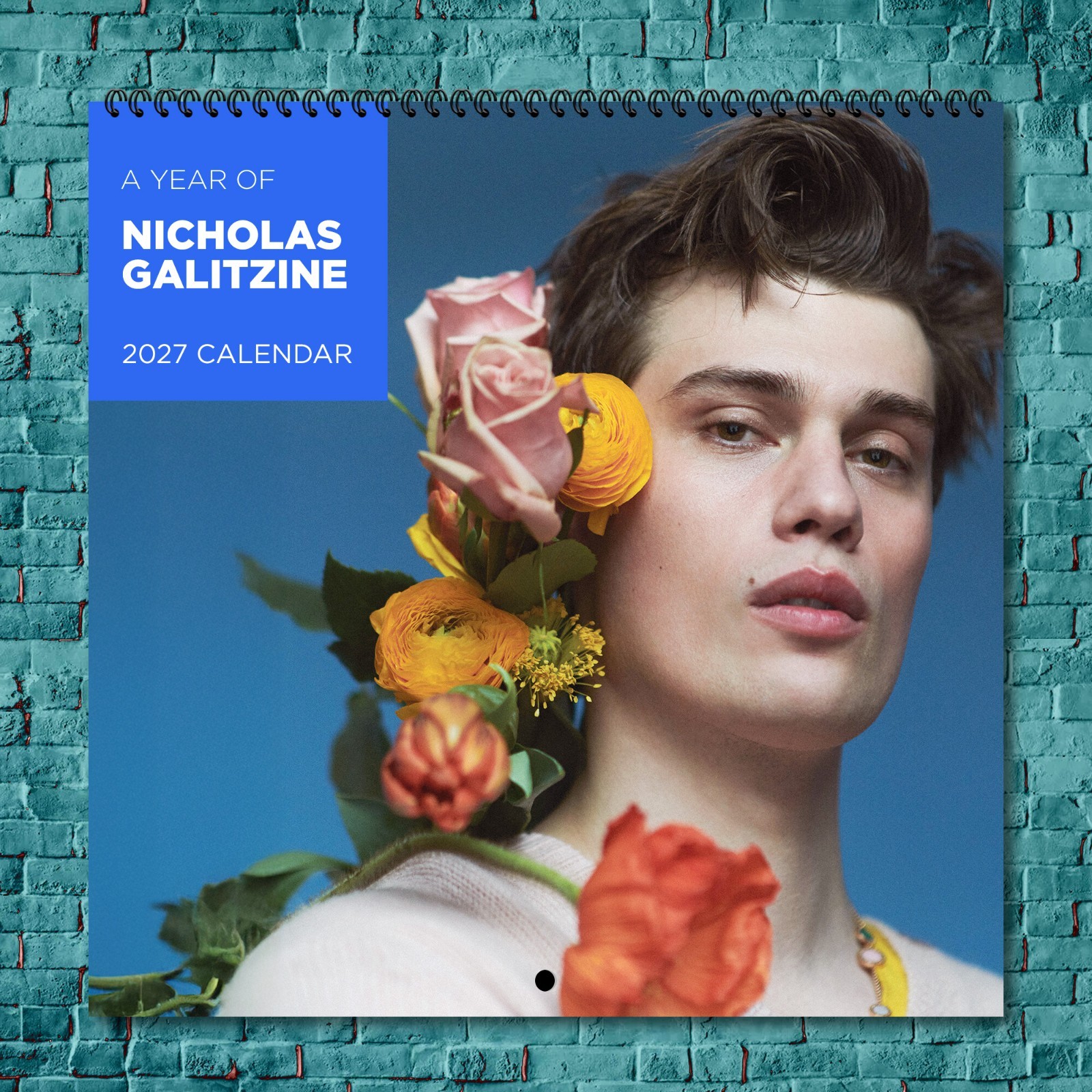 Nicholas Galitzine 2027 Wall Calendar 12 Month Celebrity Photo Fan Collectible