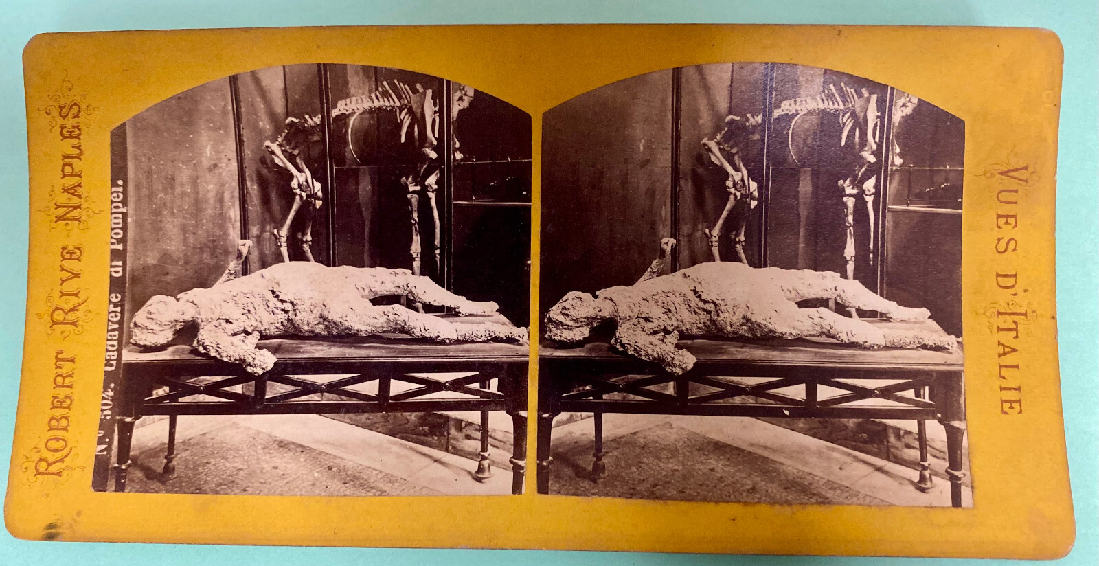 1868 POMPEII Italy VICTIM 4 Cast SKELETON Stereoview PREGNANT WOMAN Robert Rive
