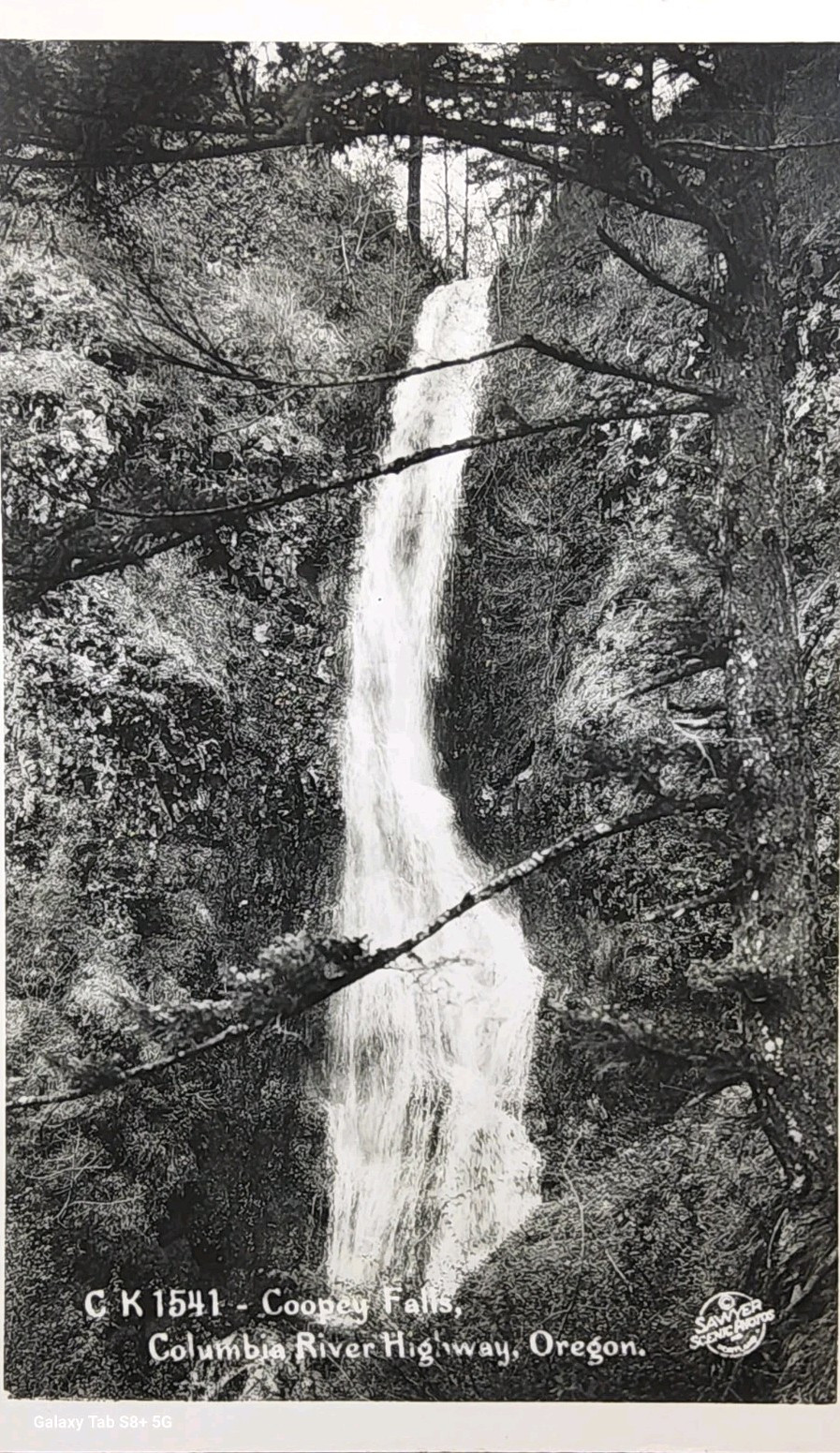 c1950\'s Postcard ~ Coopey Falls, Columbia River Highway, Oregon ~ #\'6562