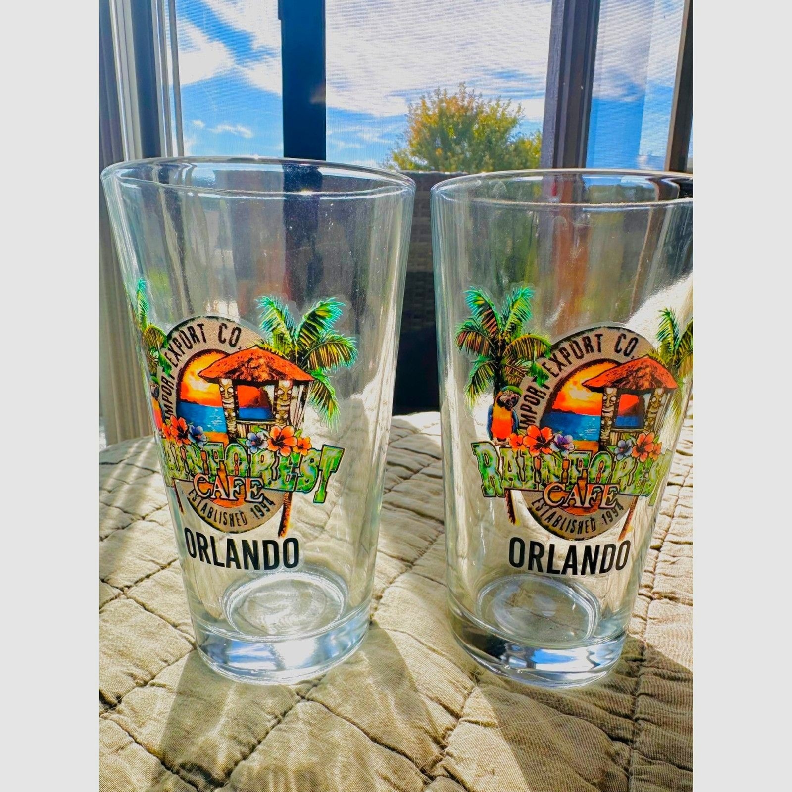 NEW Rainforest Cafe-Orlando FL 1994 Vibrant Tropical Graphic Pint Glasses (2)