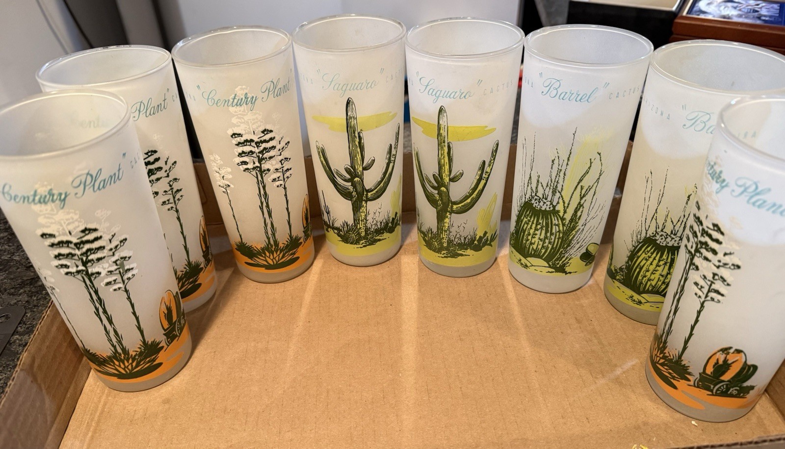 Vintage Bailey Oils Arizona Cactus Frosted Glass Tumblers Set of 8 Advertising