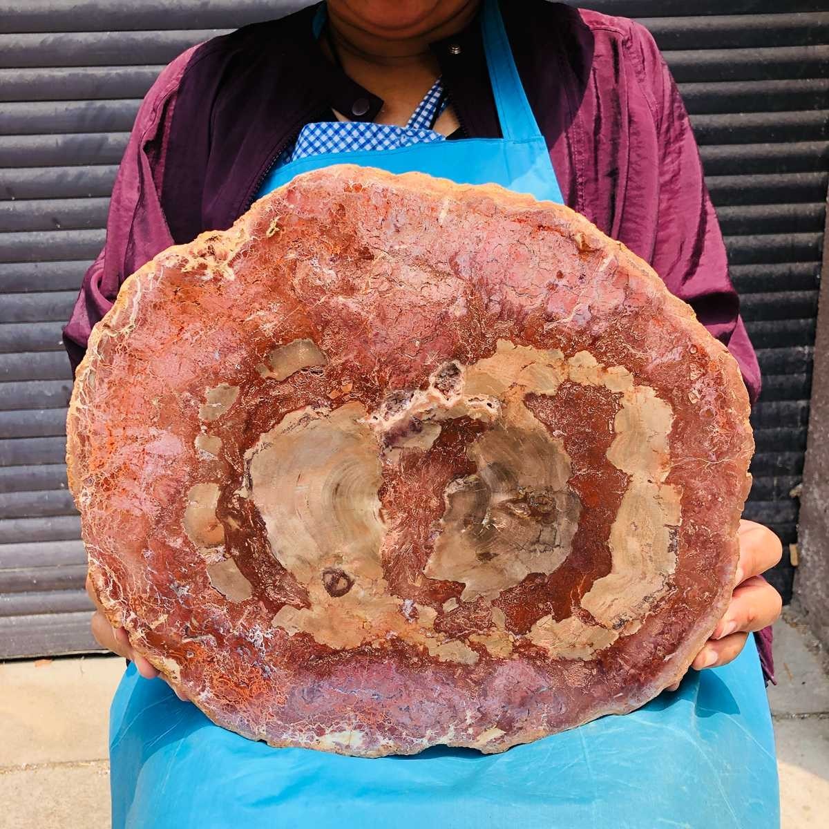 7.1LB Natural Petrified Wood Crystal Fossil Slice Crystal Specimen Healing 6156