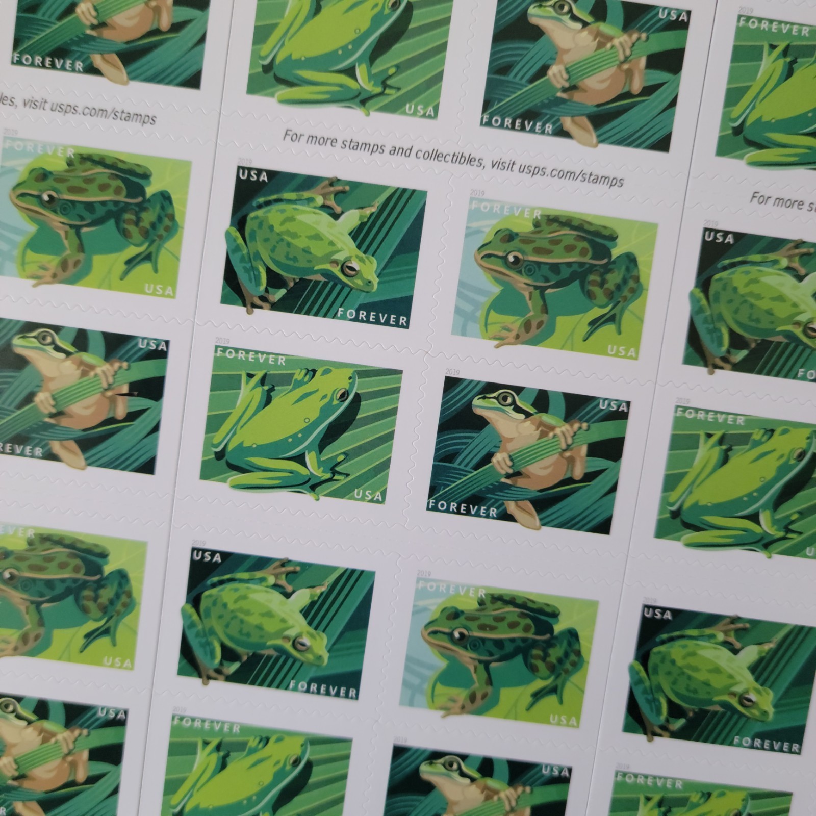 FROGS 2019 USPS PANE OF 20 FIRST CLASS LETTER STAMPS