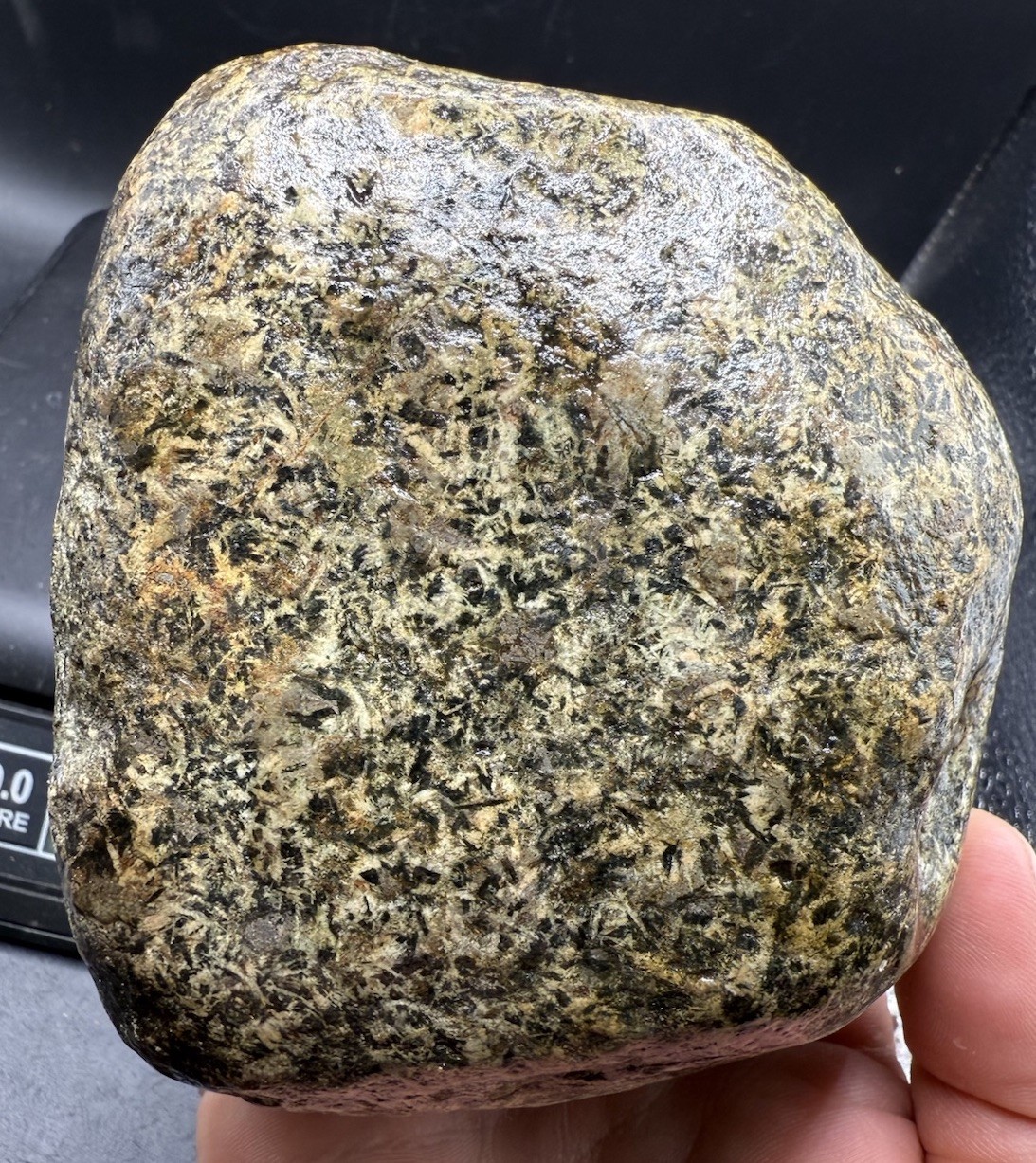Indiana Glacier Erratic Gem Stone Yellow/green Serpentine 1343 Grams 6,715 Carat