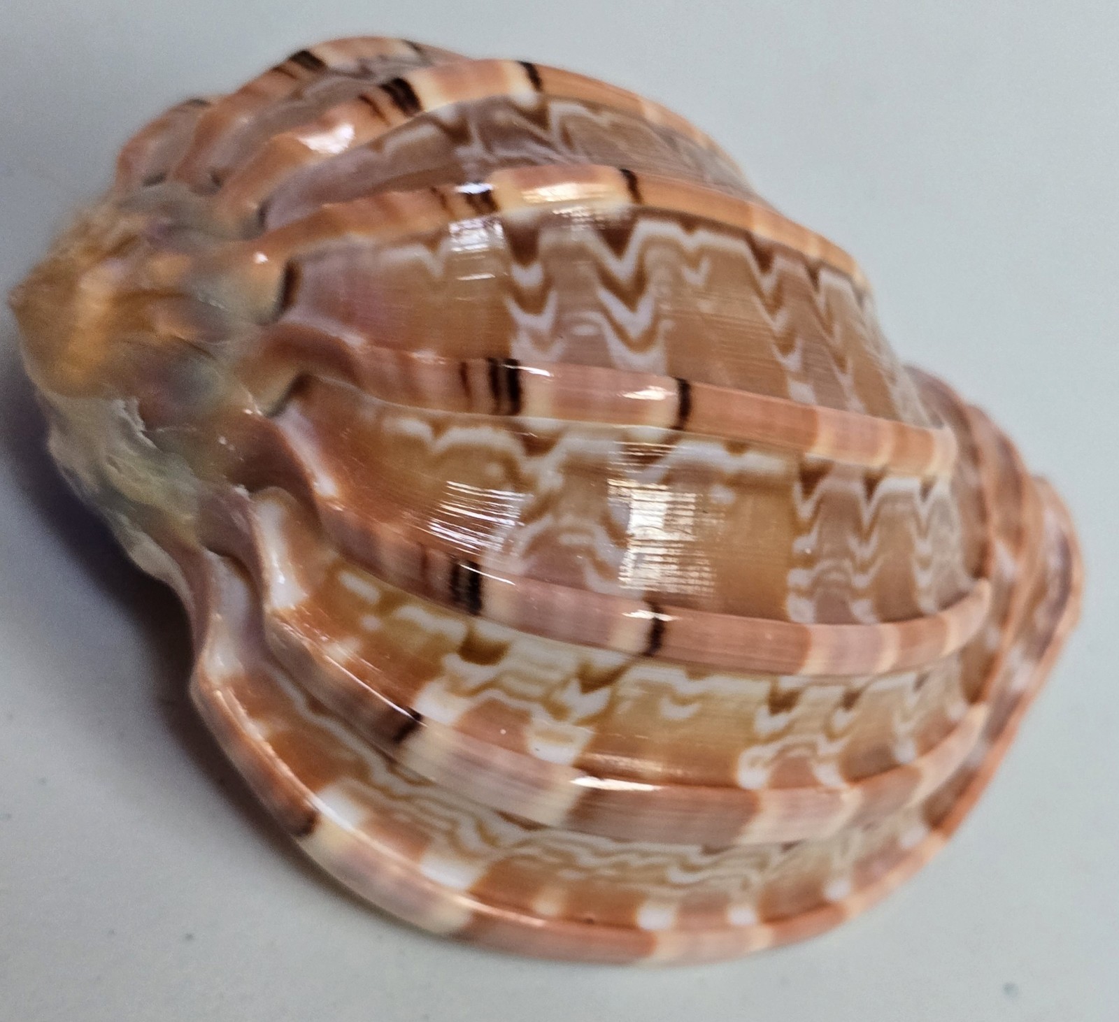3¾\
