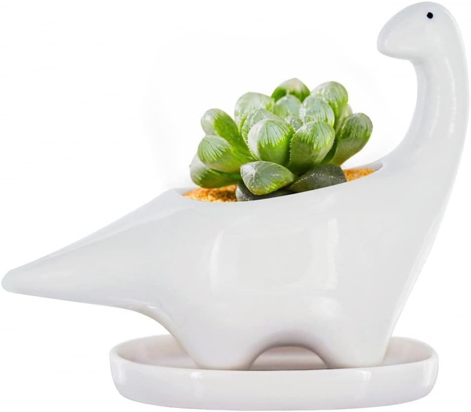 Elegant White Dinosaur Pot - 5
