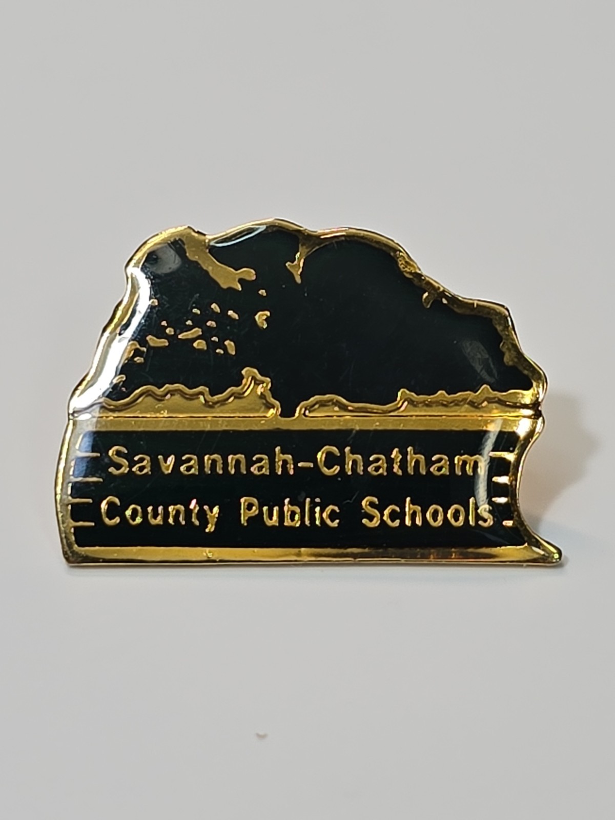 Savannah-Chatham County Public Schools Lapel Pin Georgia