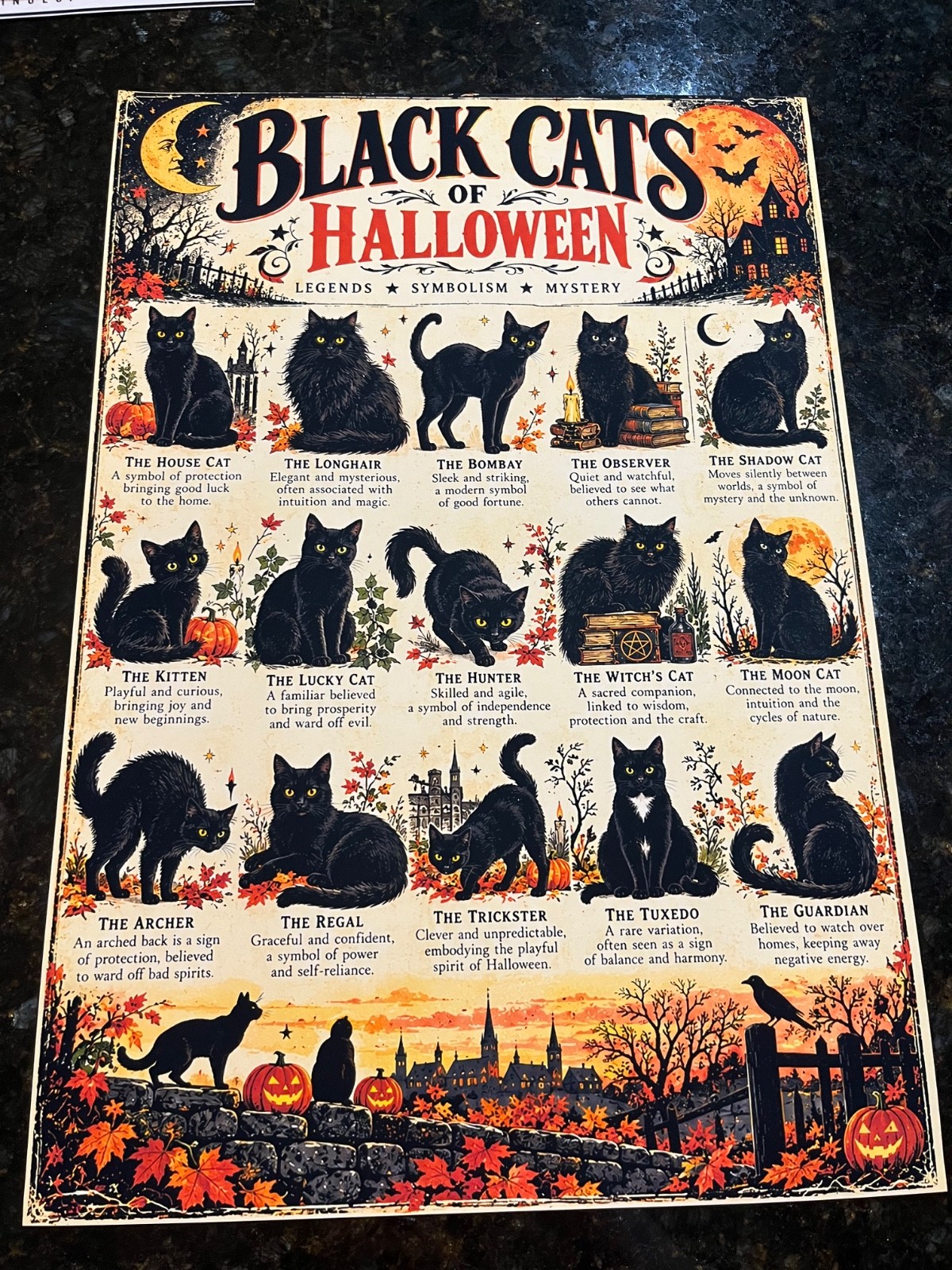 Black Cats of Halloween Identification Chart Vintage Gothic Art Poster 13x19