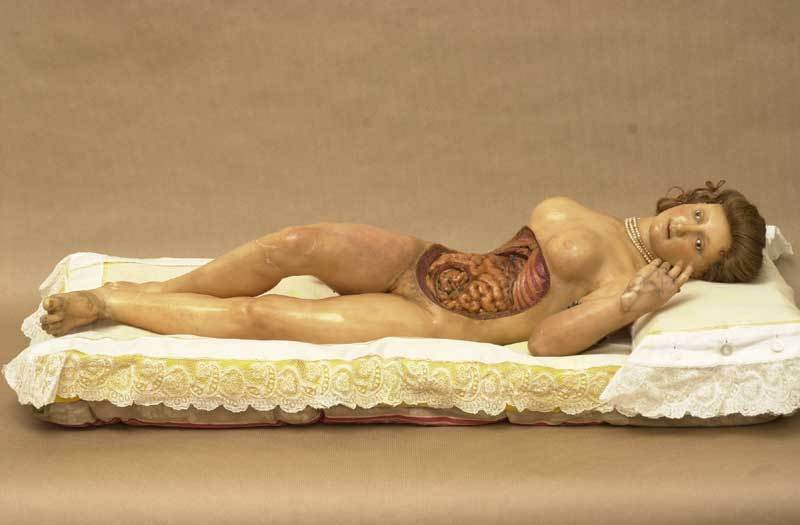 Antique Medical Anatomical Doll Photo 483 Oddleys Strange & Bizarre