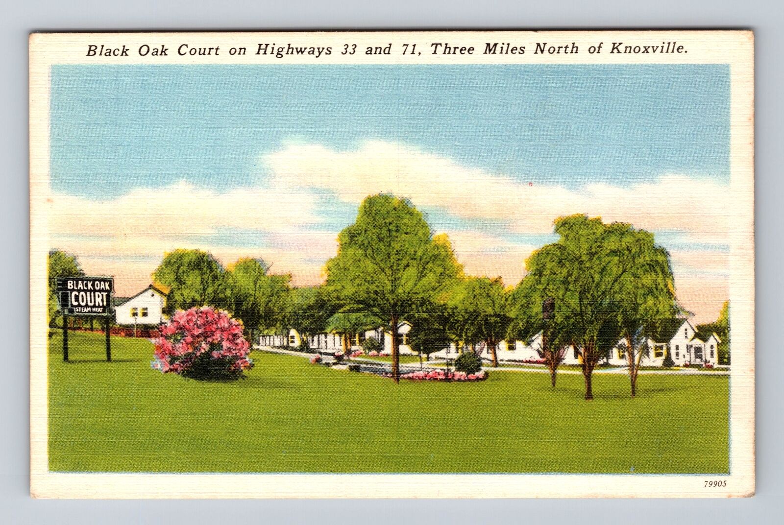 Knoxville TN-Tennessee, Black Oak Court, Advertising, Antique Vintage Postcard