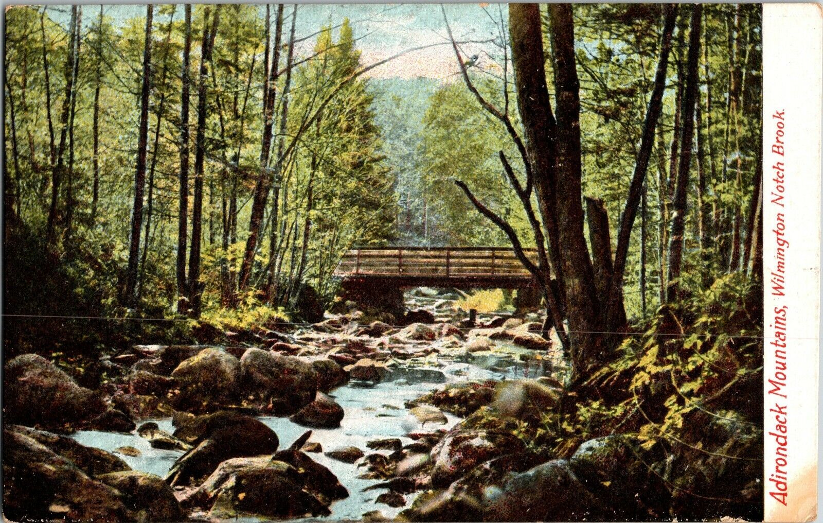 Vintage 1907 Adirondack Mountains Wilmington Notch Brook Bridge NY Postcard B213
