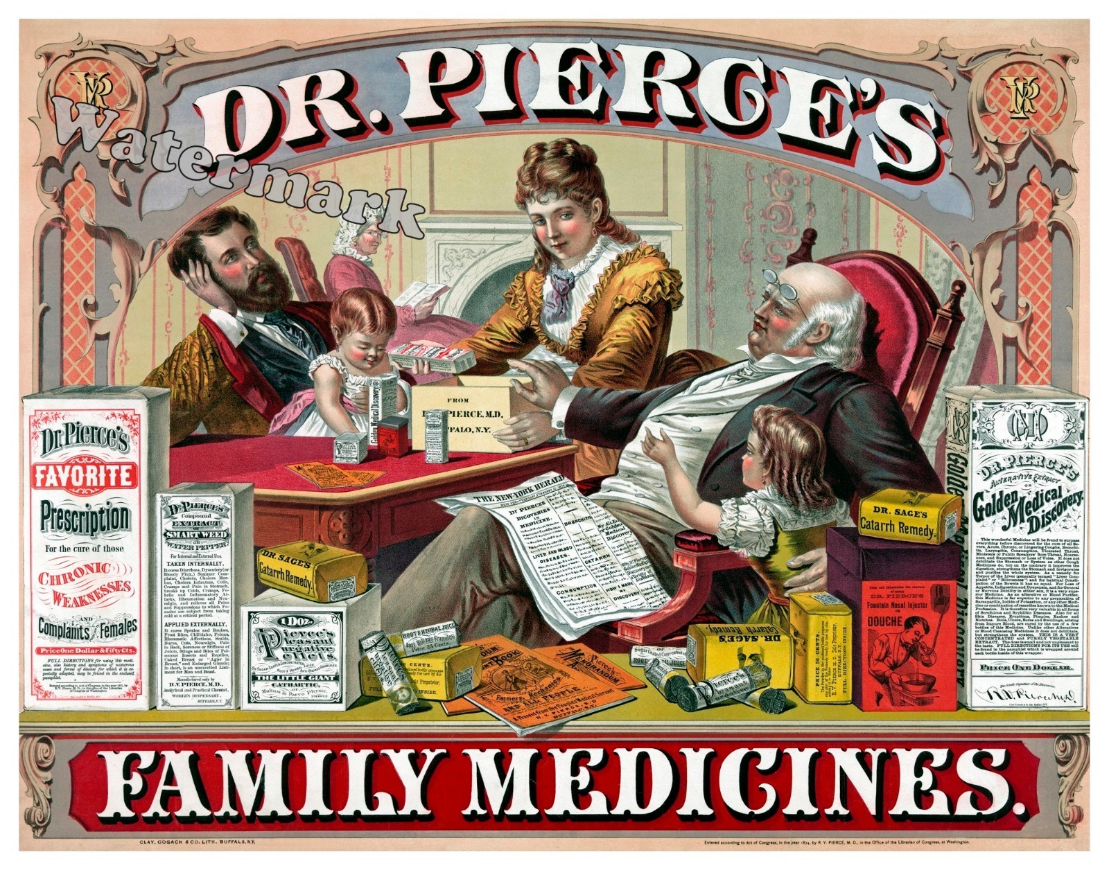 Dr. Pierce's 1874 Family Medicines Advertisement New York 11X14  Print
