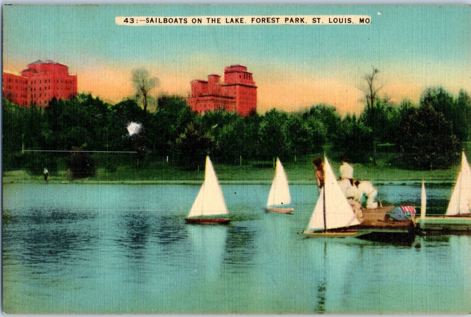 Vintage Postcard 1940\'s Sailboats on the Lake, Forest Park, St. Lous, Missouri