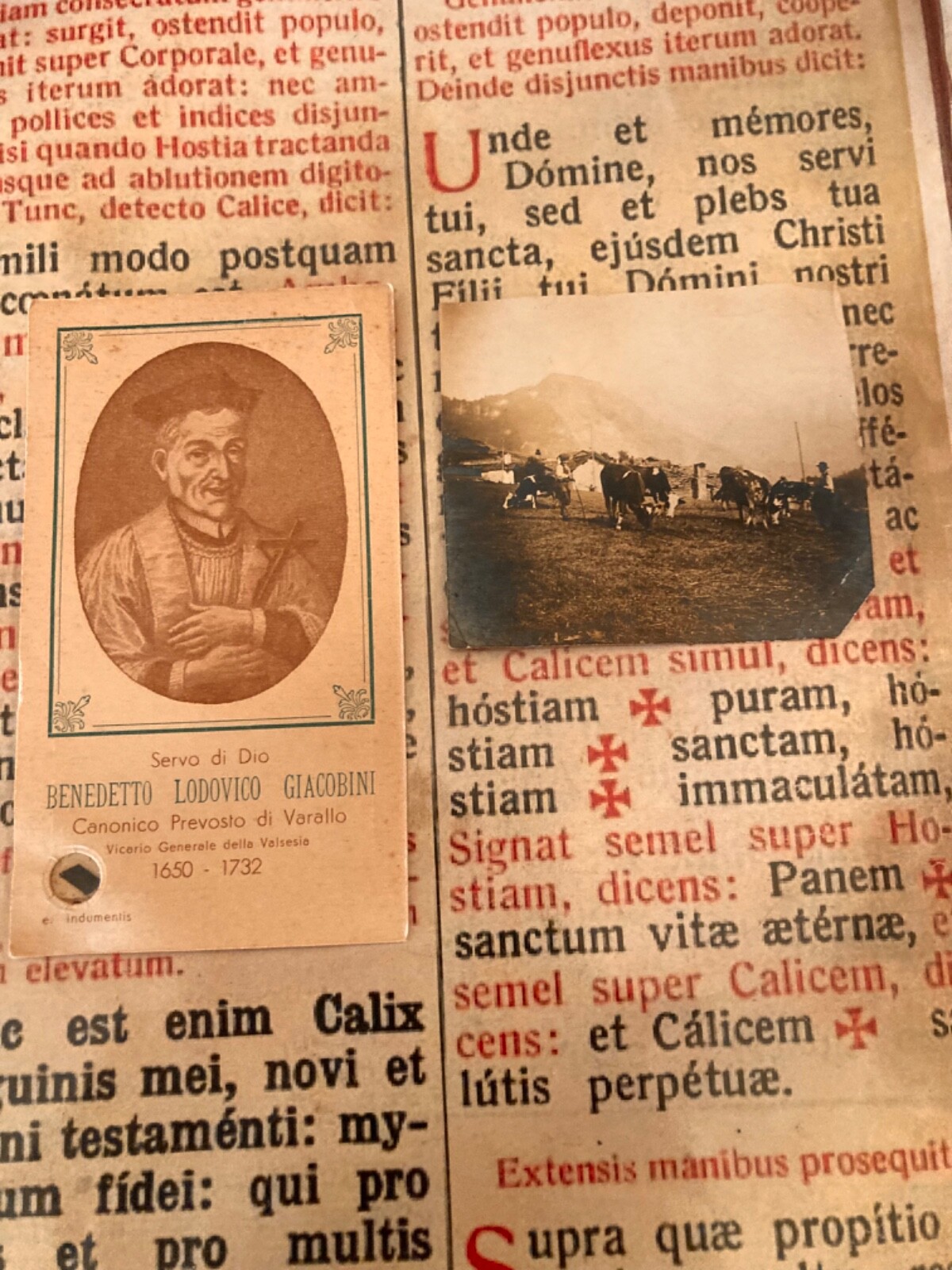 RELICS Miracle Sacred Mount of Varallo & St Jacobini Ludovicus : August 10,1931 RELICS Miracle Sacred Mount of Varallo & St Jacobini Ludovicus : August 10,1931