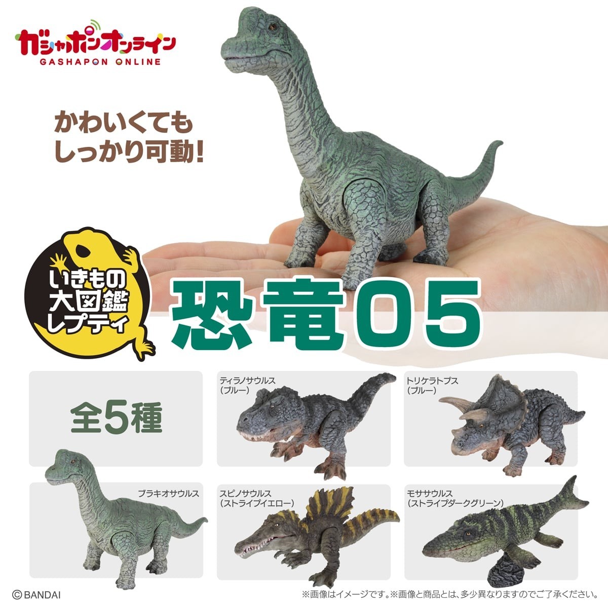 The Diversity of Life on Earth Reptit Dinosaur 05 Figure Set of 5 Bandai