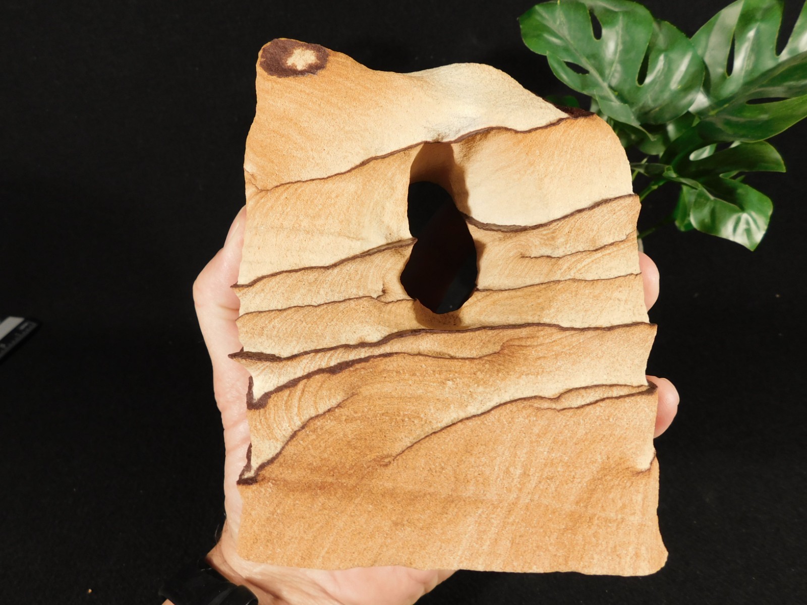 Larger Navajo Sandstone ARCH SCULPTURE  with Lines of Hematite Utah 1240gr