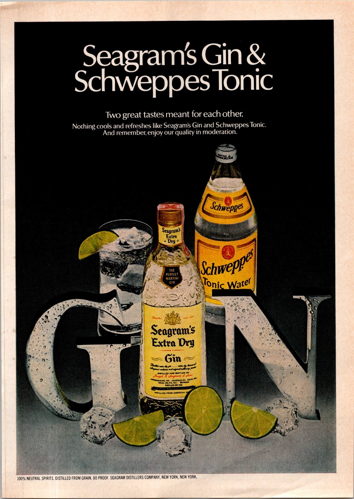 1981 • Seagram\'s Extra Dry Gin • Print Ad • 80s Fashion  • iA.27