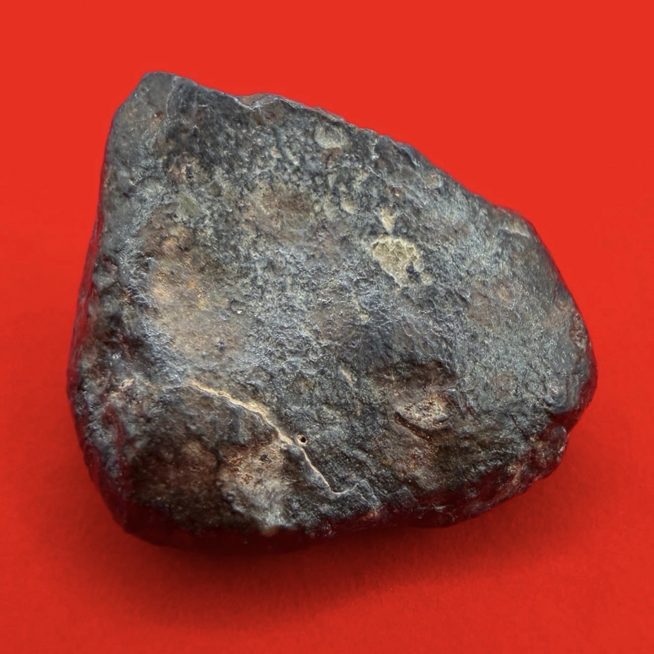NWA 869 Meteorite, Chondrite Meteorite, Meteorite Collection, Space, 21.94 Grams