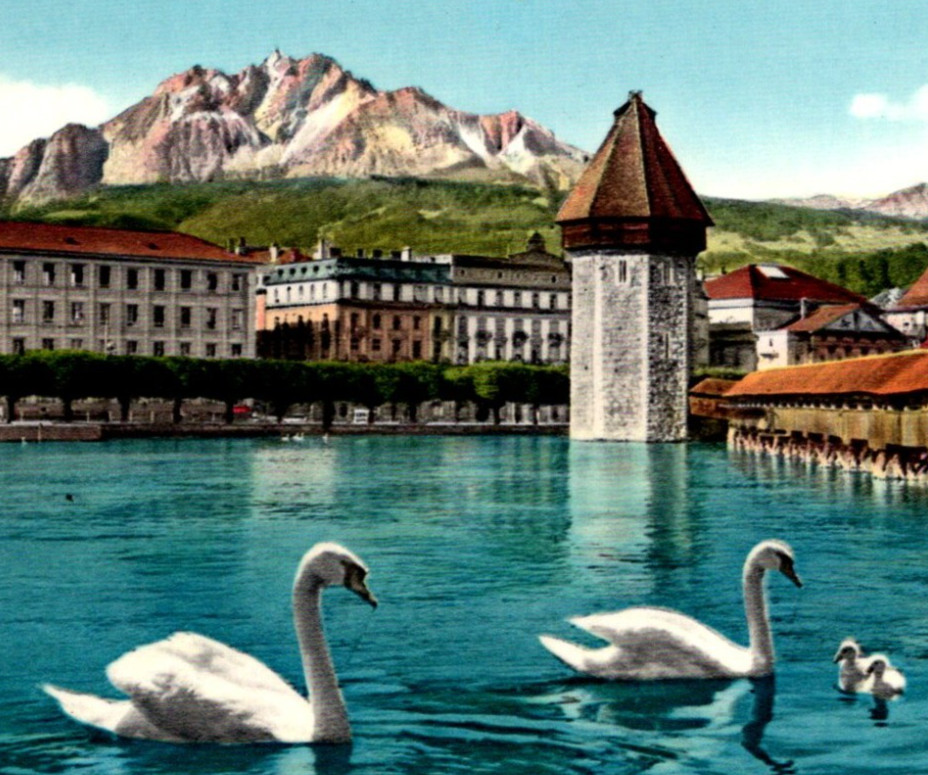 Vintage Postcard Kapellbrücke Chapel Bridge Lake Lucerne Swans Switzerland c1955