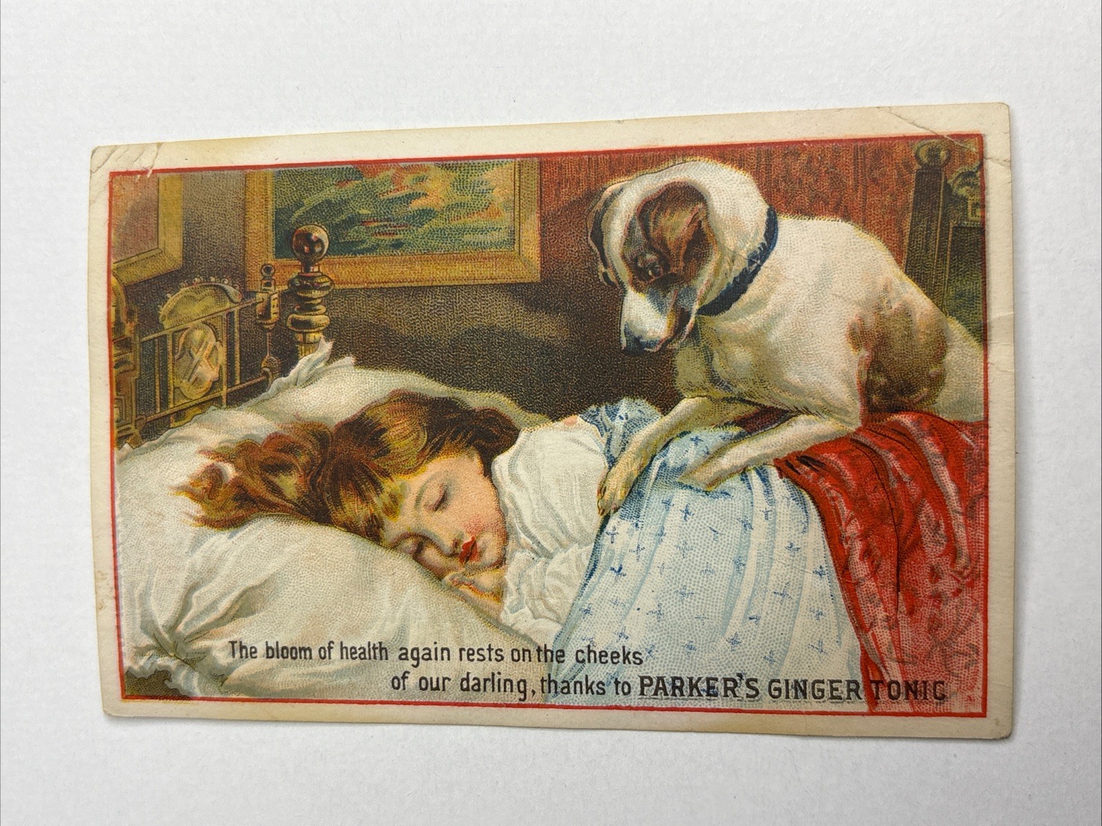 PARKER’S GINGER TONIC Hair Balsam New York Trade Card Dog/girl 10192