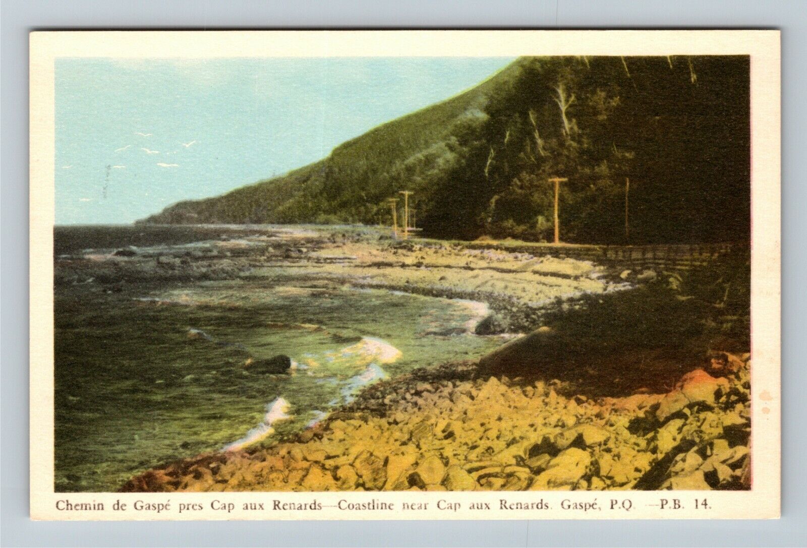Quebec Canada, Rocky Coastline near Cap aux Renards Gaspe Vintage Postcard