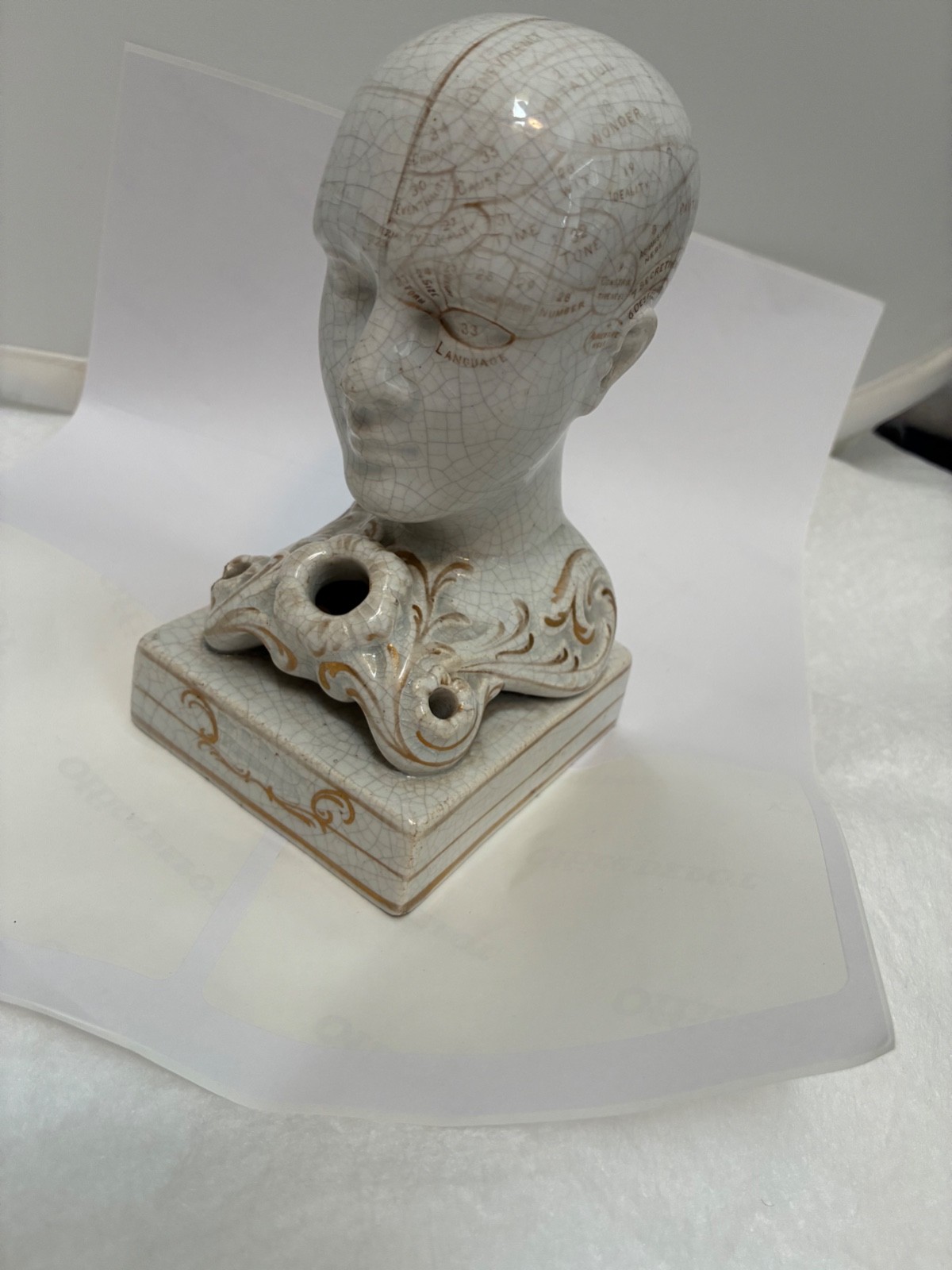 Antique Phrenology Inkwell