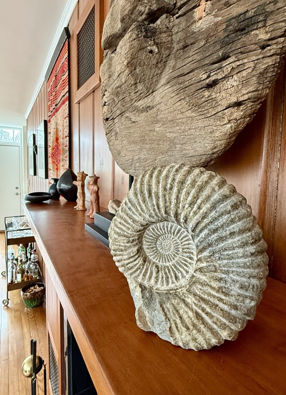 Huge Ancient Well Preserved Fossil  7