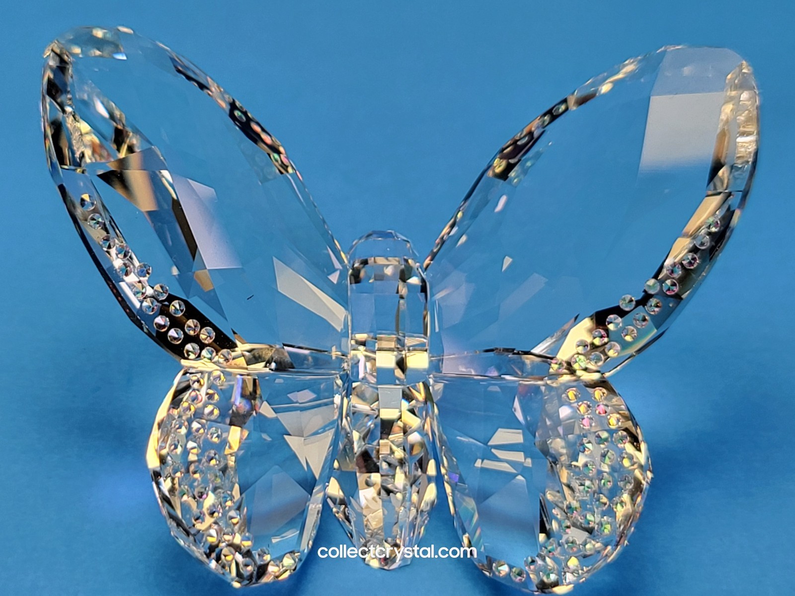 Swarovski Brilliant Large Butterfly w Bejeweled Edges Figurine # 1043026