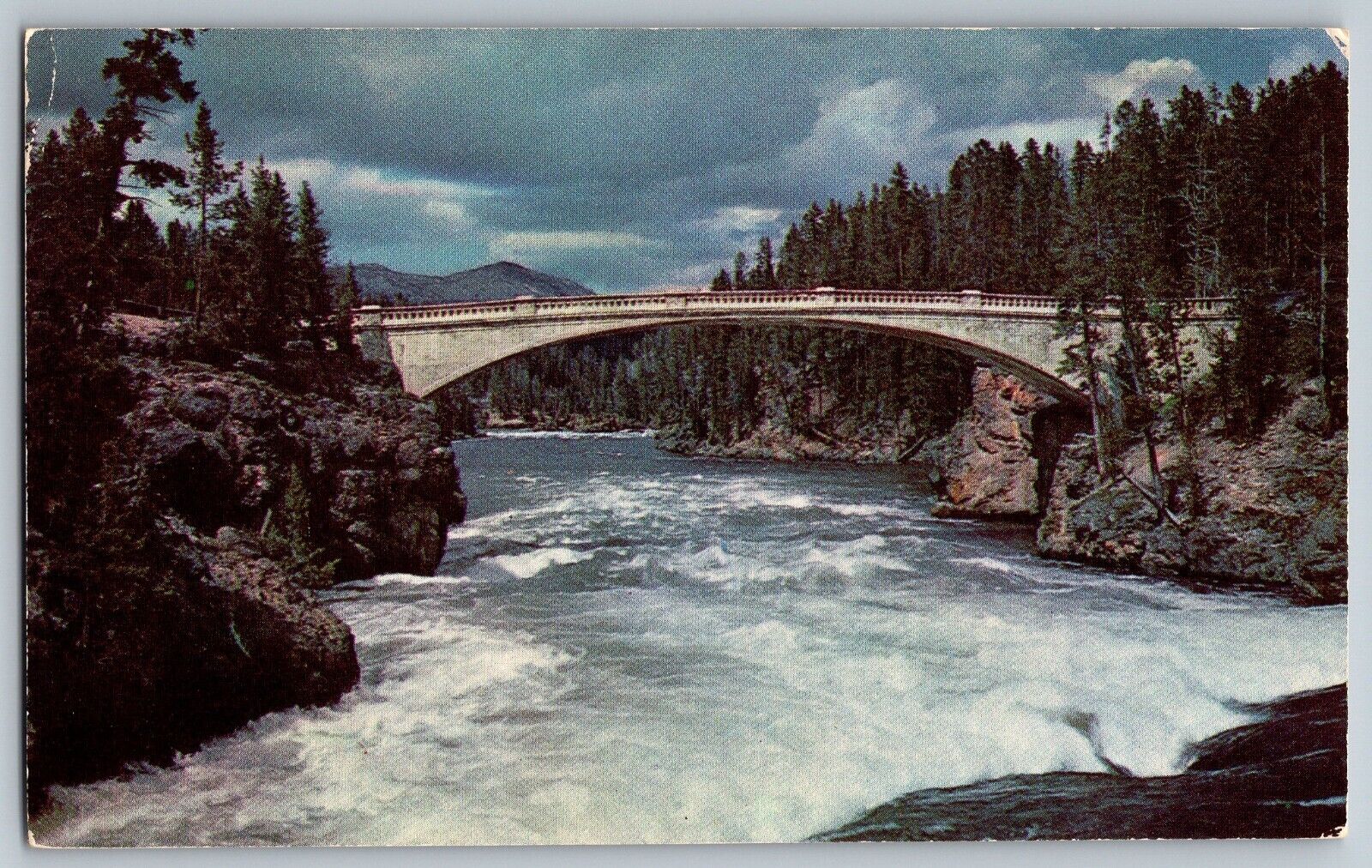 Chittenden Bridge 120 Foot at Yellowstone National Park - Vintage Postcards