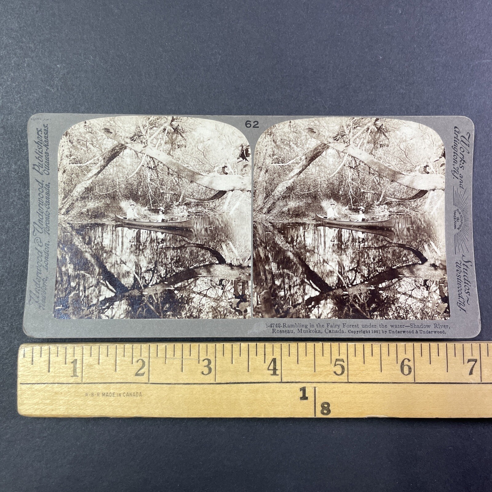Shadow River Muskoka Canada Stereoview Underwood & Underwood 1901 Canoe