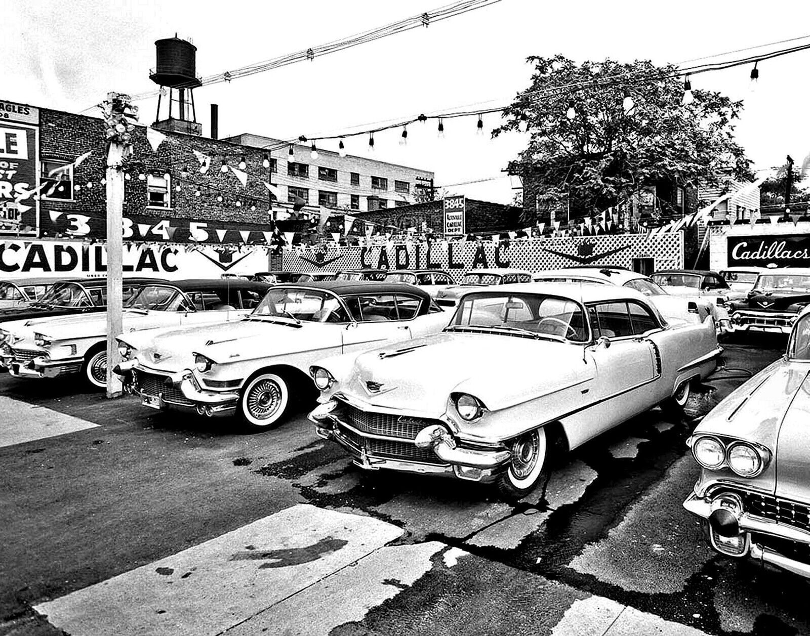 1950s CADILLACS on Dealership Parking LOT Classic Car Picture Photo 8x10