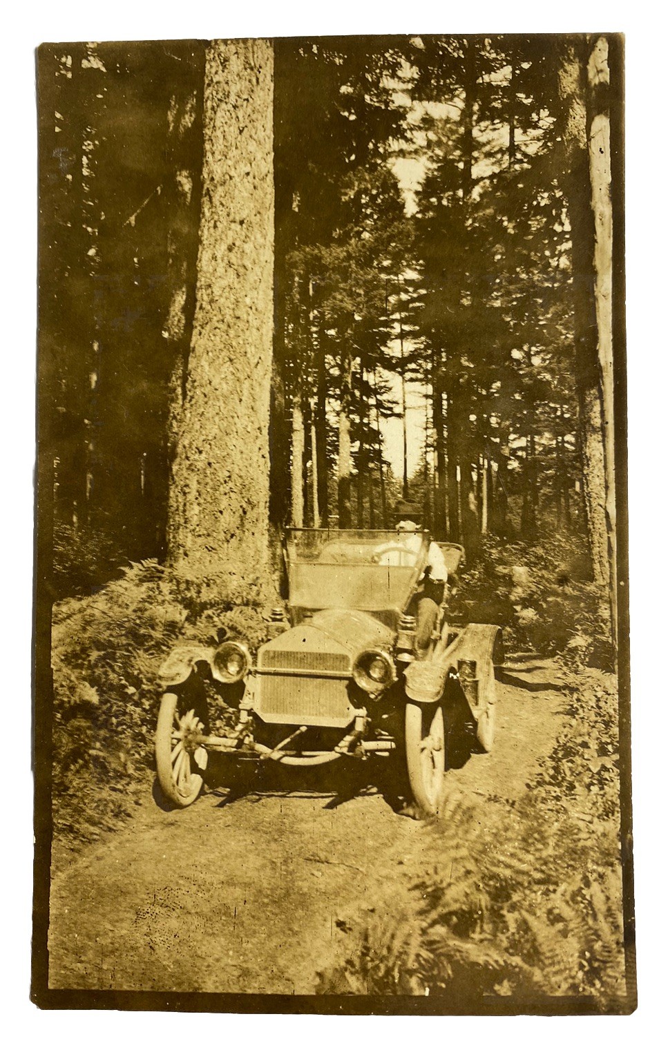 Early Automobile in Redwood Forest ~ California CA ~ Antique 1910s RPPC Postcard