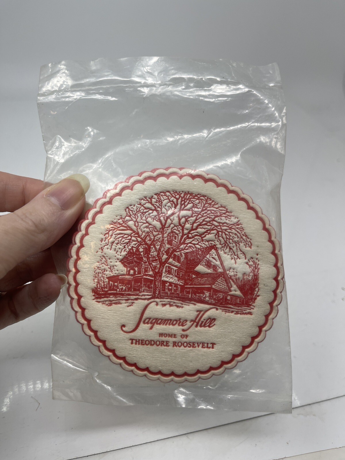 Set Of 10 Royal Catch-All Coasters Sagamore Hill Theodore Rooseve