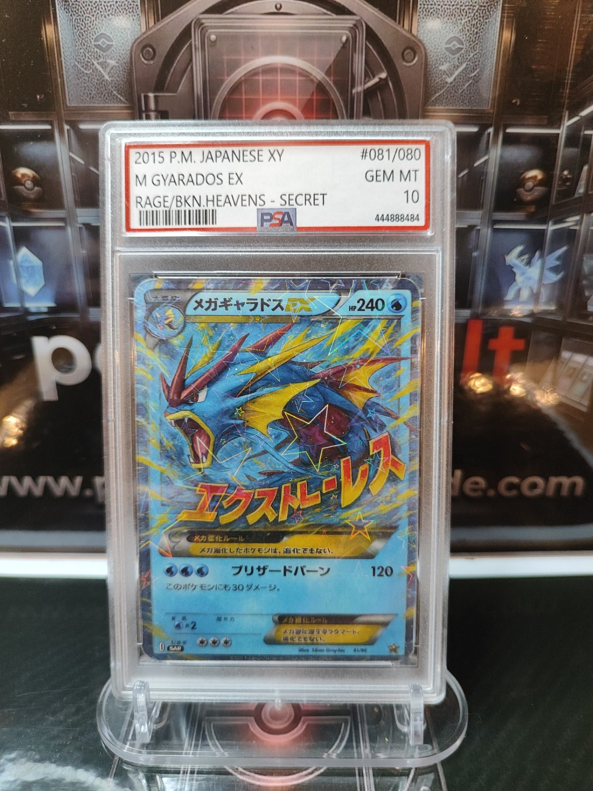 Pokemon M Gyarados EX 081/080 XY Holo JP Fan Art