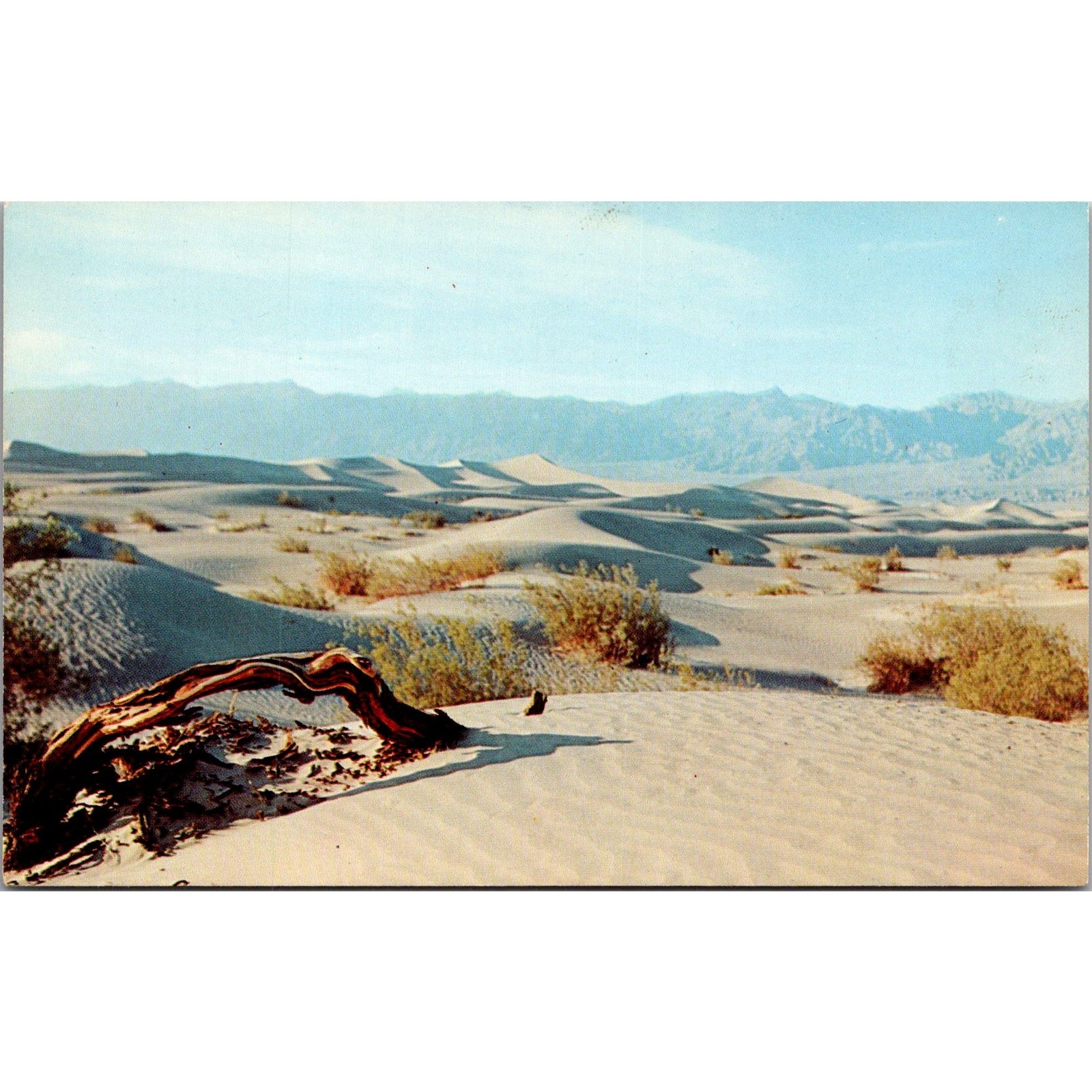 Desert Sands Vast Desert Landscape & Distant Mountains Vintage Postcard SP8-13