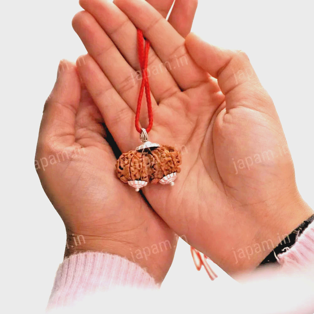 100% Original Nepali Gauri Shankar Rudraksha in Silver Cap (Gaurishankar Rudraks